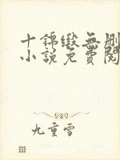 十锦缎无删原著小说免费阅读