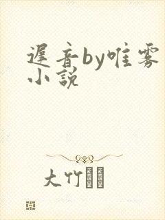 迟音by唯雾的小说