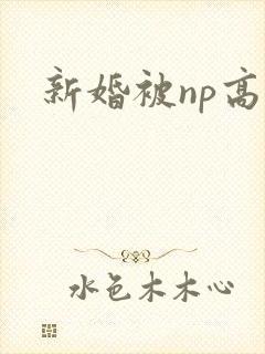 新婚被np高h