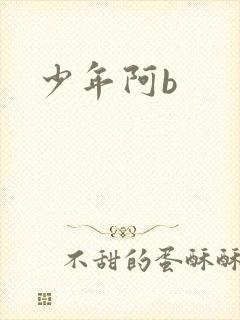 少年阿b