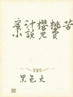 蜜汁樱桃苦咖啡小说免费