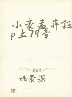 小豪孟卉钰慧三p上79章
