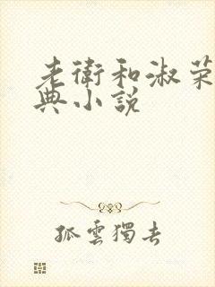 老卫和淑荣的经典小说