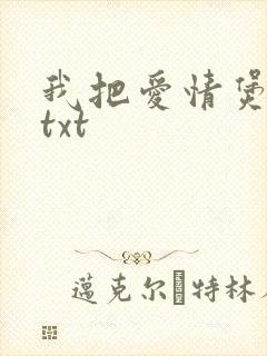 我把爱情煲成汤txt
