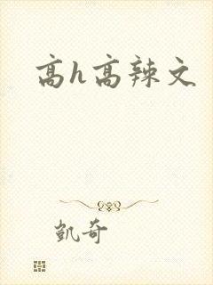 高h高辣文