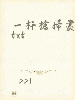 一杆枪扫尽全家txt
