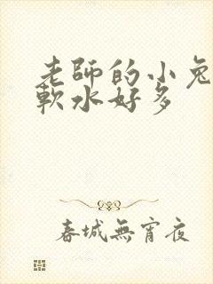 老师的小兔子好软水好多