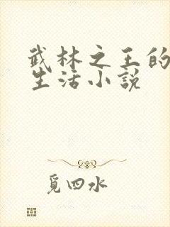 武林之王的退隐生活小说