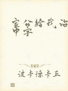 家公给我治疗5中字