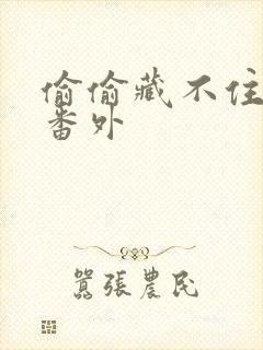 偷偷藏不住新婚番外