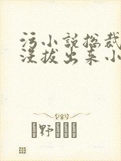 污小说总裁整夜没拔出来小说在线阅读