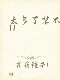 太多了装不下H11