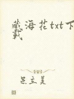 藏海花txt下载