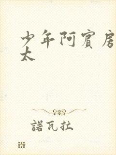 少年阿宾房东太太