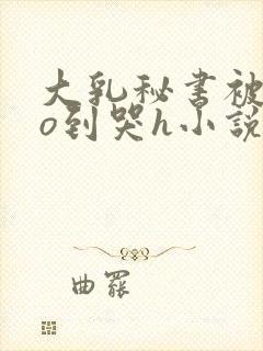 大乳秘书被cao到哭h小说