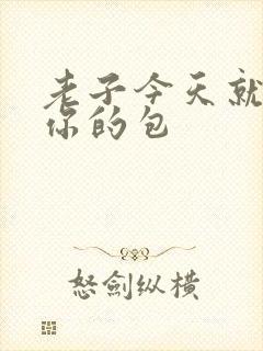 老子今天就要开你的包