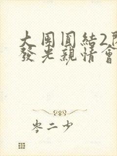 大团圆结2闪闪发光亲情会