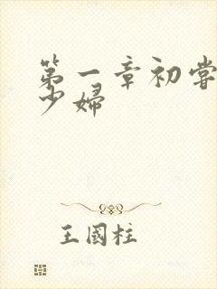 第一章初尝极品少妇