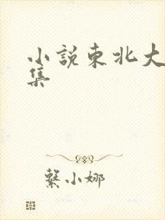 小说东北大炕全集