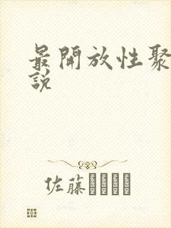 最开放性聚会小说