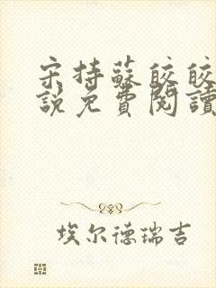 宋持苏皎皎的小说免费阅读