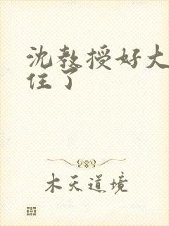 沈教授好大含不住了