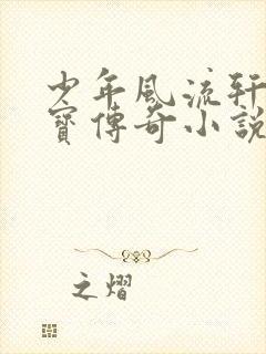 少年风流轩辕大宝传奇小说
