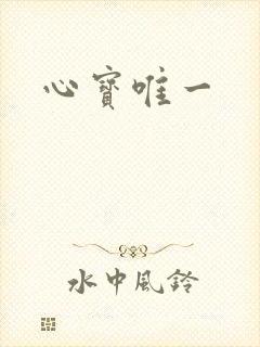 心宝唯一