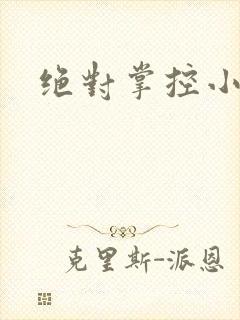 绝对掌控小说