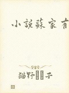 小说苏家有女