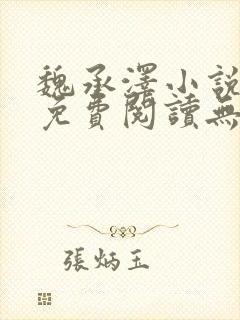 魏承泽小说全文免费阅读无弹窗笔趣