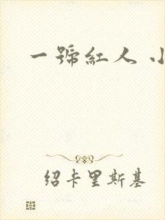 一号红人 小说