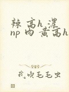 辣 高h 浓 np 肉 黄高h