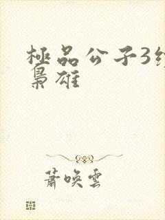 极品公子3续世枭雄