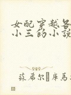 女配穿越各个做小三的小说