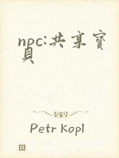 npc:共享宝贝