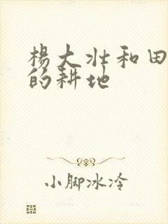 杨大壮和田桂花的耕地