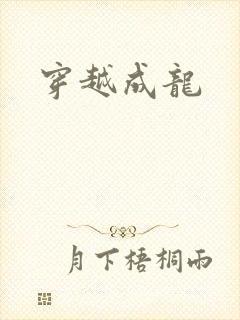 穿越成龙
