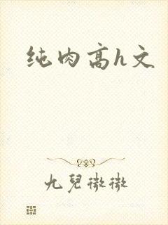 纯肉高h文