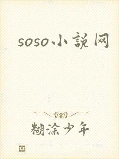 soso小说网