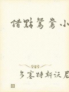 错点鸳鸯小说