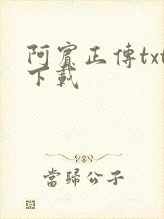 阿宾正传txt下载