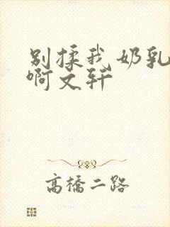 别揉我奶乳嗯～啊文轩