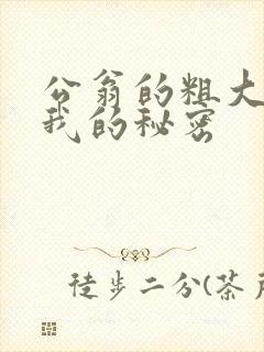 公翁的粗大放进我的秘密