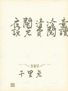 夜阑清冷意欢小说免费阅读