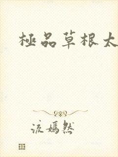 极品草根太子
