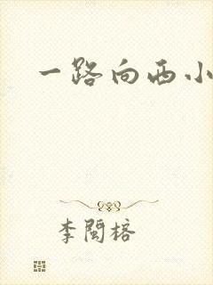 一路向西小说