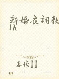 新婚夜调教1v1h