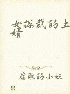 女总裁的上门女婿