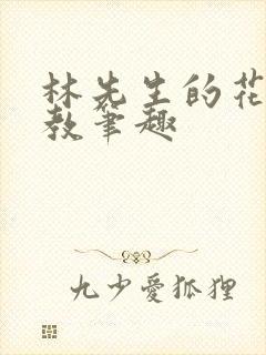 林先生的花式管教笔趣